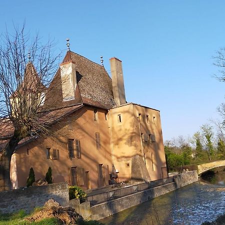 Chateau De La Venerie Denice Exterior photo